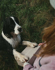 Alpha Box - The Fetching Box - Consciously curated monthly boxes, for dogs