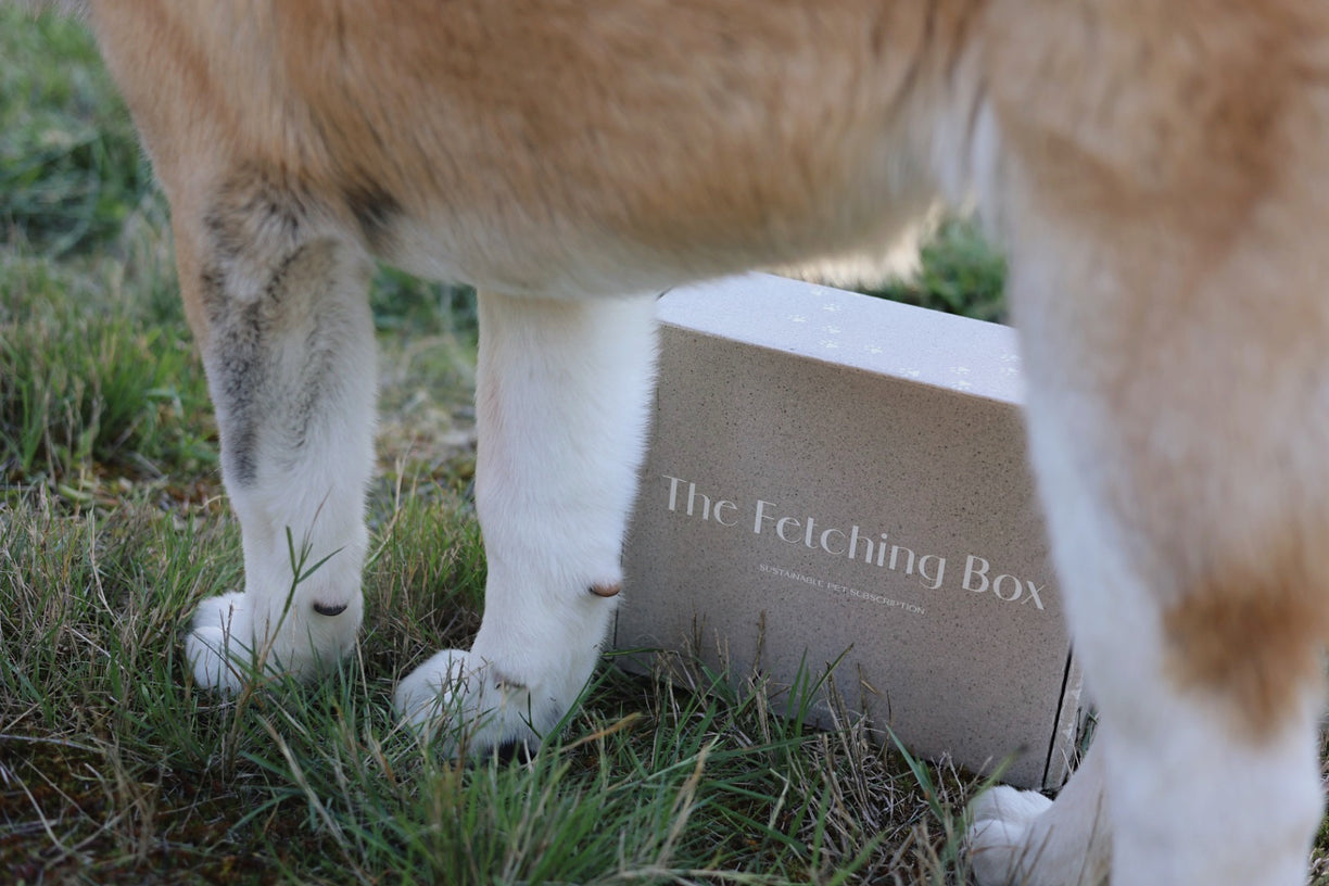 Natural product for dogs, Dog gift 