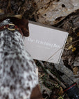 Alpha Box - The Fetching Box - Consciously curated monthly boxes, for dogs