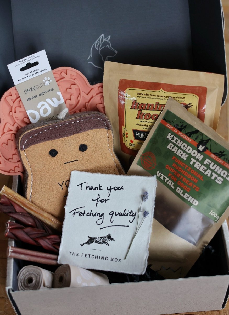 Alpha Box - The Fetching Box - Consciously curated monthly boxes, for dogs