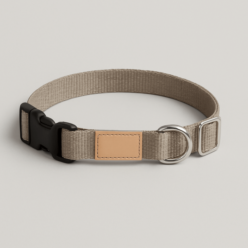 Dog Collar (Example) - The Fetching Box - Consciously curated monthly boxes, for dogs