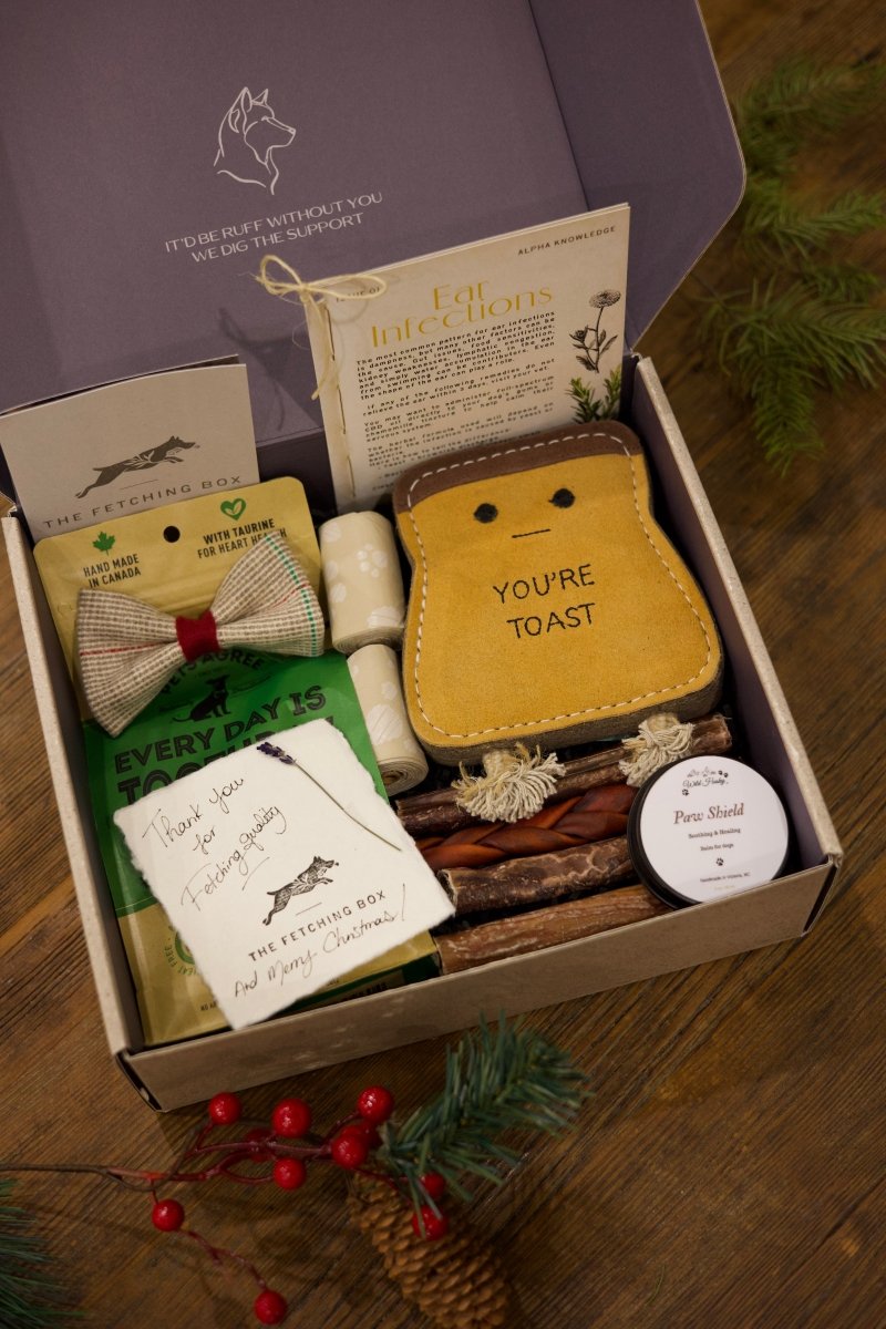 Holiday Box - Limited Edition - The Fetching Box - Consciously curated monthly boxes, for dogs