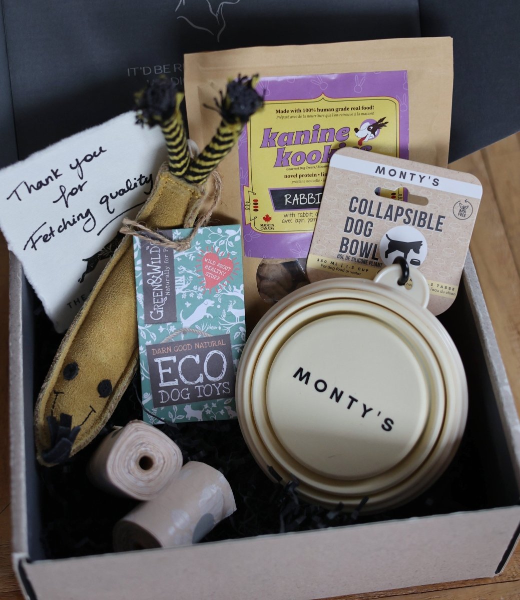 Omega Box - The Fetching Box - Consciously curated monthly boxes, for dogs