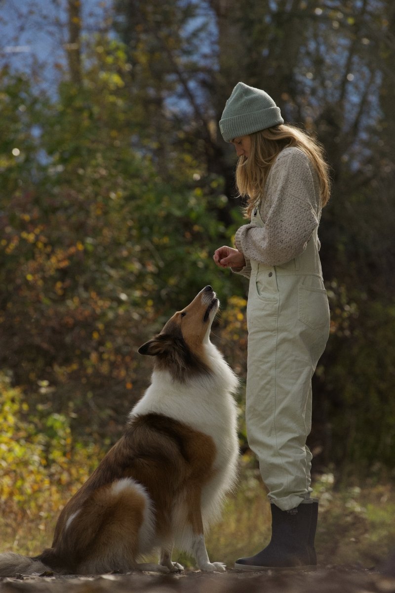 Omega Box - The Fetching Box - Consciously curated monthly boxes, for dogs